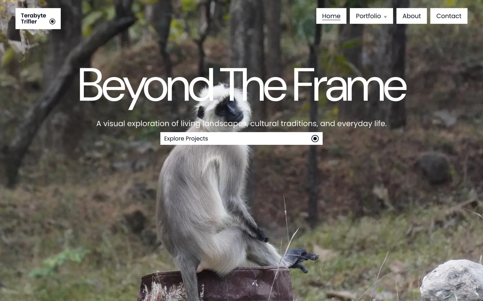 Beyond the Frame — home page